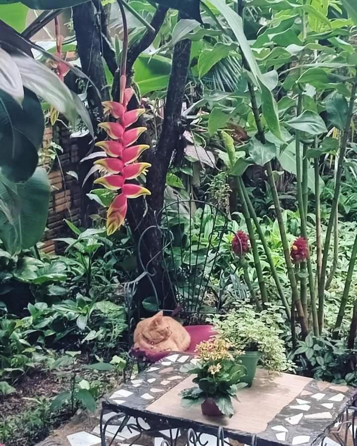 Posada Maria Iguazu Puerto Iguazú Exterior foto