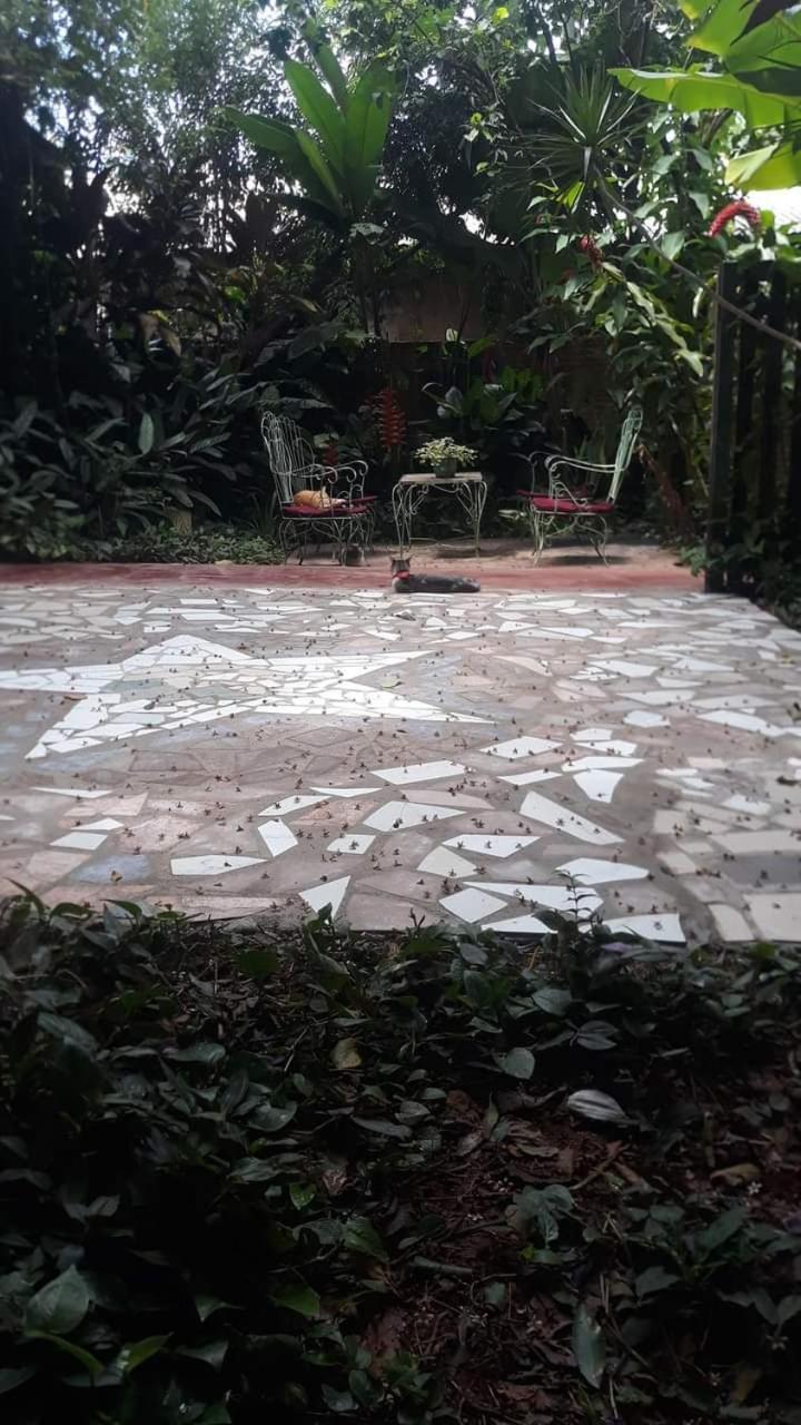 Posada Maria Iguazu Puerto Iguazú Exterior foto